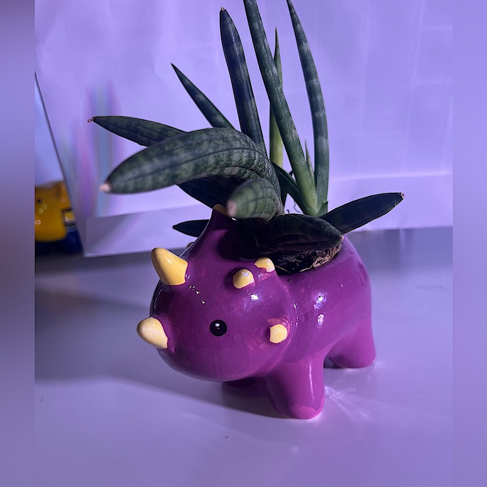 DINO PLANTER